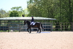 WJ6_1434