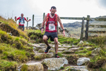 Langdale-2011