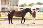 SBM_15356