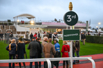 151125-Race 7-Divine Diva-4924