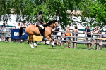 SBM_08005