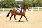 SBM_008634
