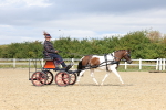 SBM_001019