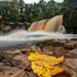 A Chance Encounter With Autumn