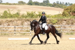 SBM_003440