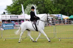 SBM_02715