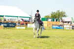 SBM_13201