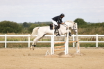 SBM_007350