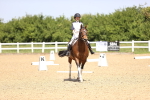 SBM_008580