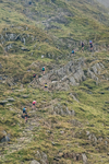 Peris Horseshoe-231