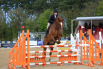 Class 7: Senior Newcomers/1.10m open portfolio