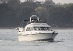 090419 WHITE KNIGHT IMG_4297