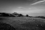Colmers Hill 03