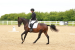 SBM_004952