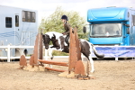 SBM_03528