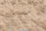 240706A-113601-01388