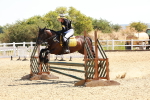 SBM_002615
