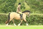 SBM_71845