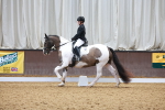 SBM_008776