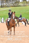 BPP_3016