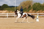 SBM_009688