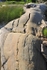 GeorgianBay11-005