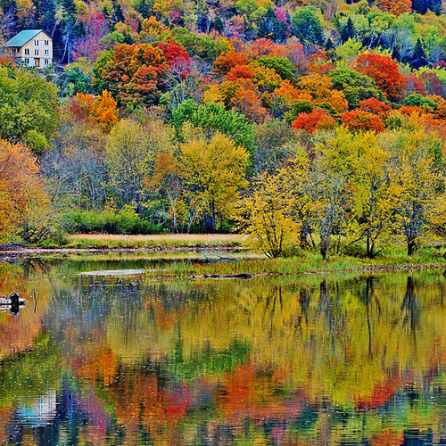A boat motors along amid a backdrop of autumn foliage near Hampton, New Brunswick.