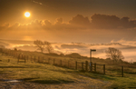 z3694 Foggy Sunrise, Brading Down