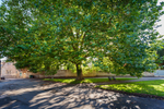 Bampton 19
