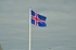 Iceland flag .... and a very small Great Black-backed Gull!