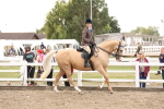 SBM_04196