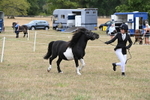 WJ6_5334