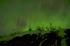 "Northern Lights"