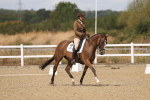 SBM_009618