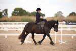SBM_05326