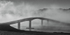 Harry Blaney Bridge