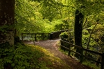 Clappersgate in Spring 2