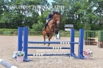 BPP_1535
