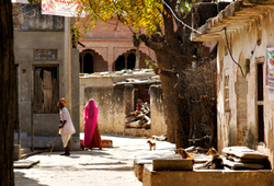 Street in Chatra Sagar village