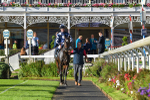 141023-Race 5-Certain Lad-1362