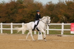 SBM_010388