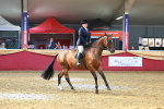 SBM_20190
