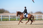 SBM_003361