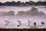 z4266 Morning Mist over Bembridge Harbour