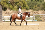SBM_002962