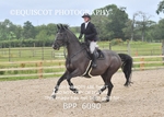 BPP_6090