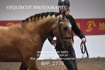 BPP_2775