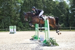 307-PENHILLS_CANDY_MAN-Max_Warburton-SUNTrotUp+SJ portfolio