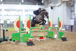 Class 9 - Senior Foxhunter - 1.20m portfolio