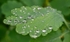 JamesGardens2310-2